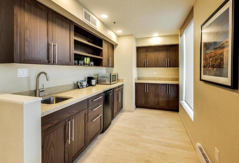 Люкс Кровать Кинг, Hyatt Place Edmonton West