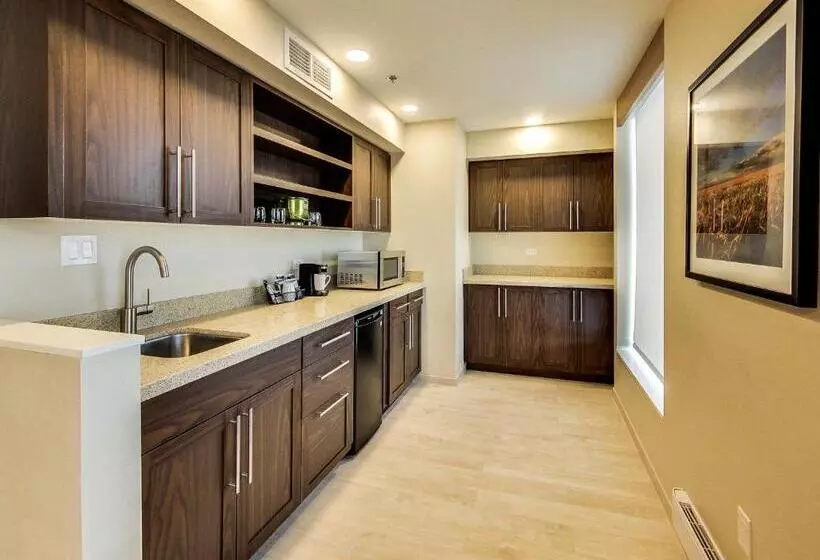 سوئیت با تخت بزرگ, Hyatt Place Edmonton West