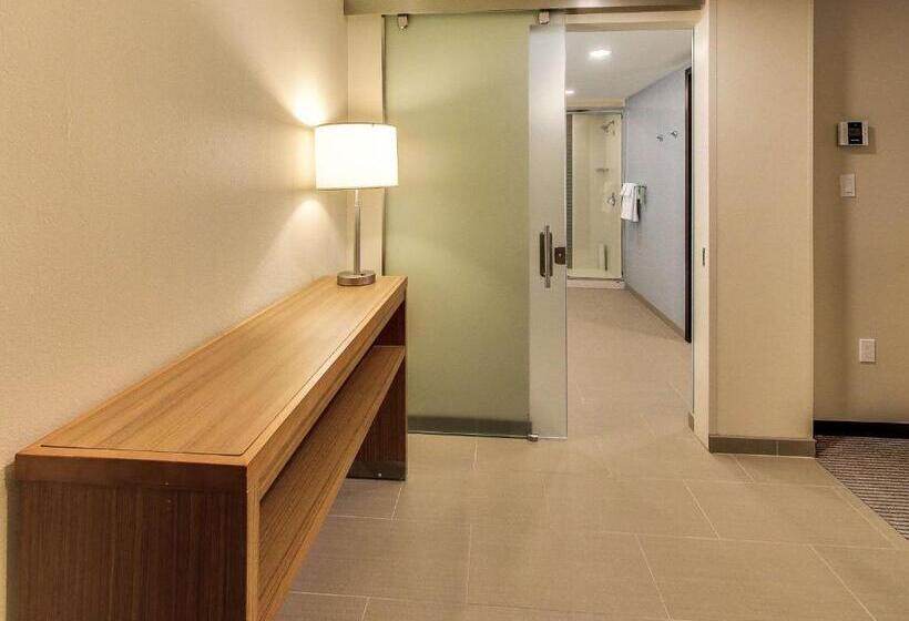 Люкс Кровать Кинг, Hyatt Place Edmonton West