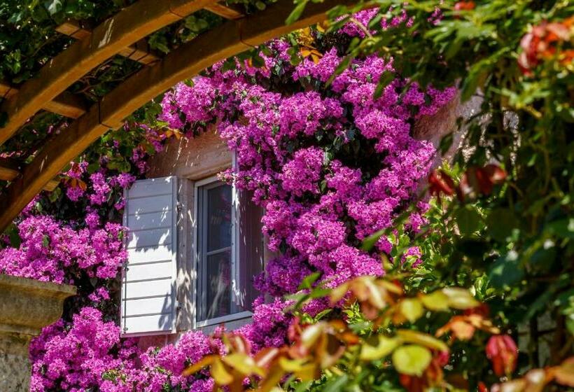اتاق عادی, Lemongarden  Adults Only