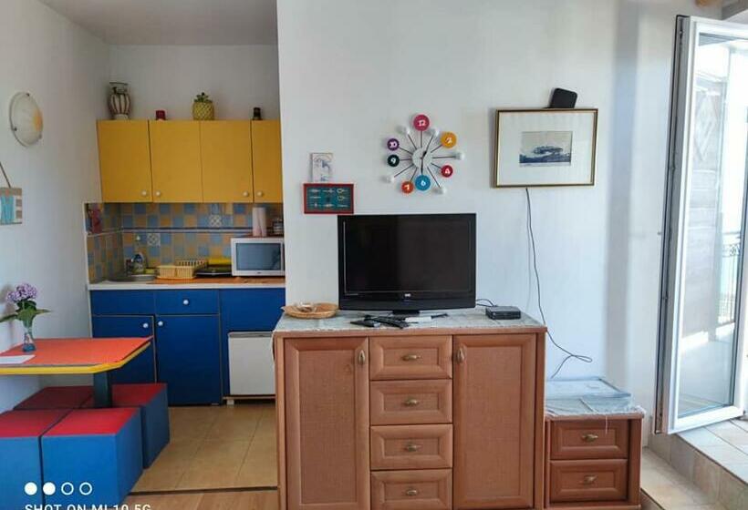 스탠다드 테라스 룸, Apartmani Fortunela