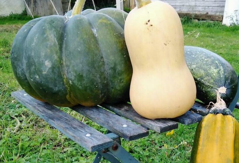 חדר סטנדרט, Chambre D Hôtes La Montjoie