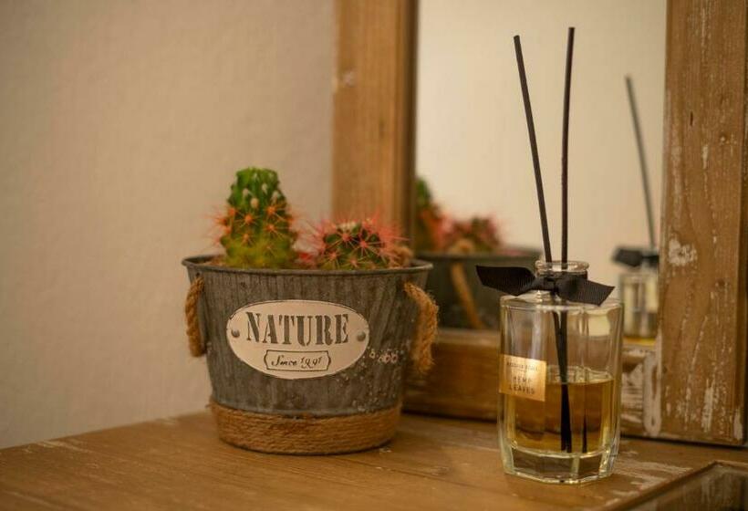 스탠다드 룸, Boutique Burgaz Otel