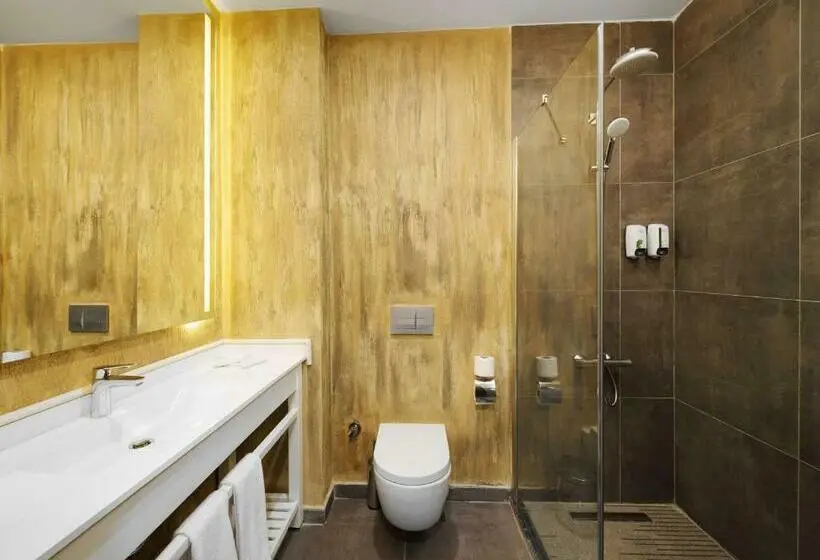 اتاق اجرایی با تخت بزرگ, Ibis Istanbul Airport