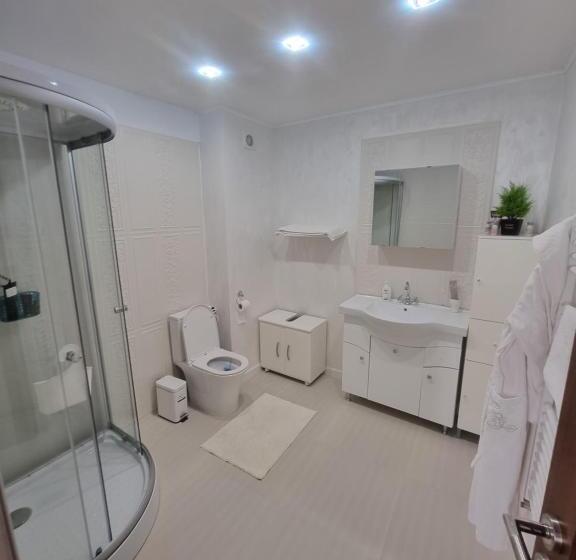 キングサイズベッドのスタンダードルーム, Casa Petcu