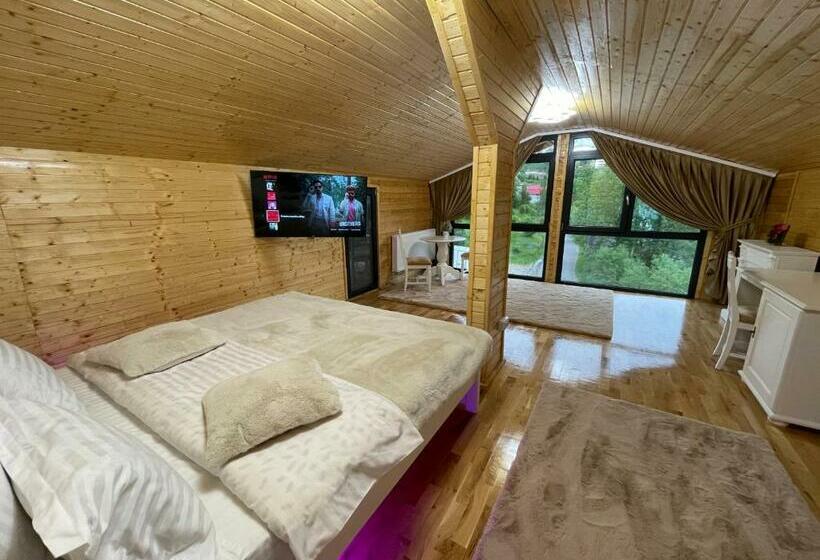 חדר סטנדרט נוף לגינה, Pensiunea Alexolar New One