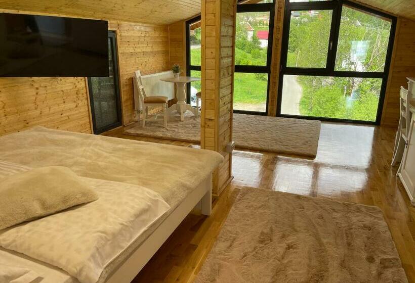 חדר סטנדרט נוף לגינה, Pensiunea Alexolar New One