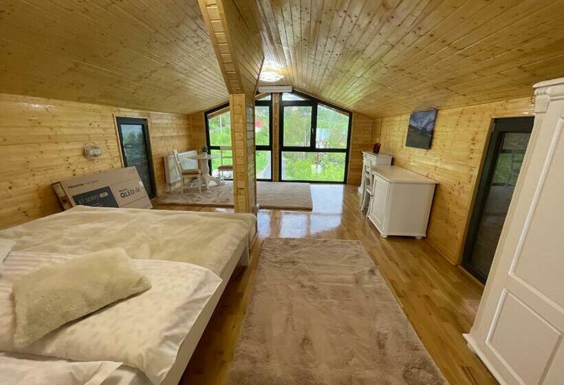 חדר סטנדרט נוף לגינה, Pensiunea Alexolar New One