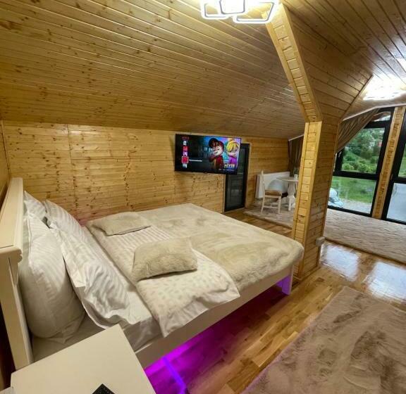 חדר סטנדרט נוף לגינה, Pensiunea Alexolar New One