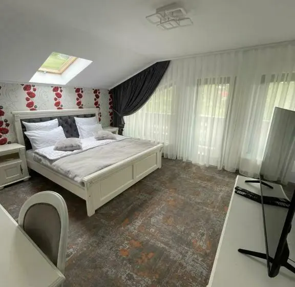 Standard-huone Parveke, Pensiunea Alexolar New One