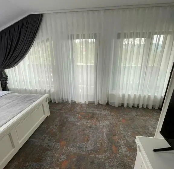 Standard-huone Parveke, Pensiunea Alexolar New One
