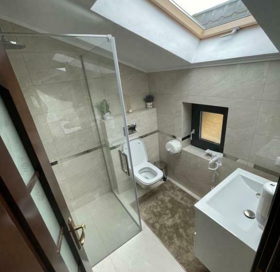 חדר סטנדרט עם מרפסת, Pensiunea Alexolar New One