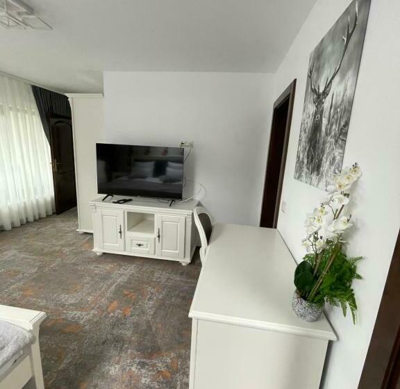 חדר סטנדרט עם מרפסת, Pensiunea Alexolar New One