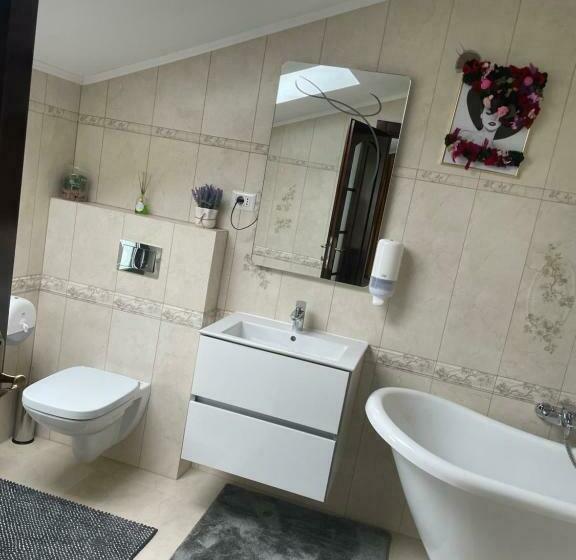 חדר משפחתי דלוקס, Pensiunea Alexolar New One