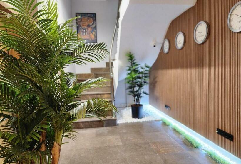 침실 1개 디럭스 아파트, Dream House