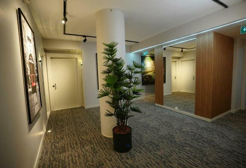 침실 1개 디럭스 아파트, Dream House