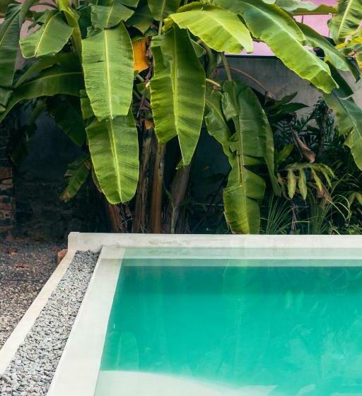 デラックスルーム, The Well