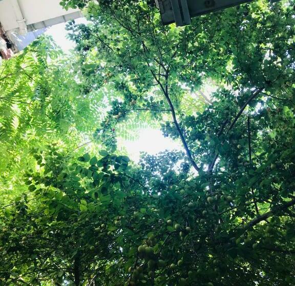 スタンダードルーム, Halil Bey Konağı