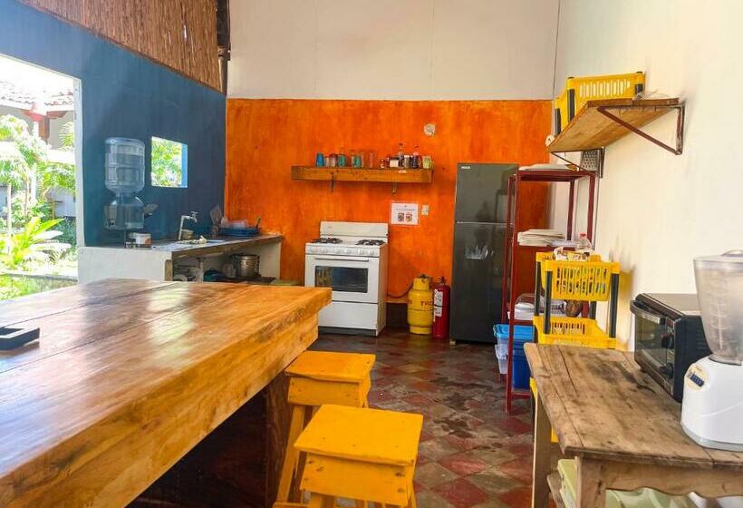 اتاق اکونومی, Casa Gallo Pinto