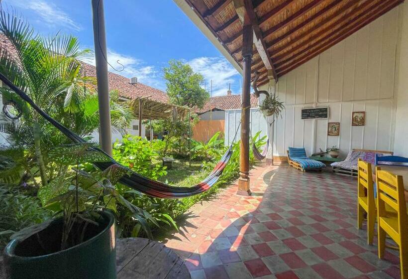 اتاق اکونومی, Casa Gallo Pinto