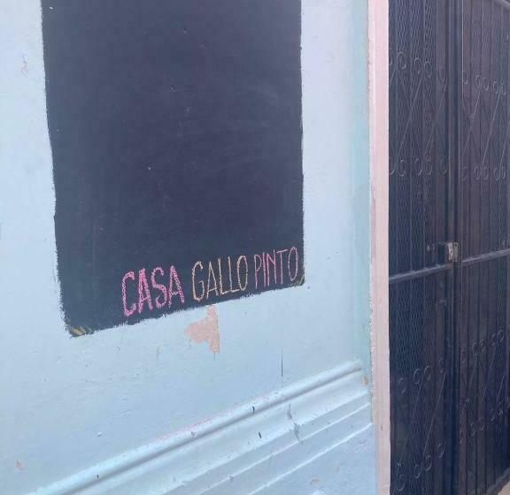 اتاق اکونومی, Casa Gallo Pinto