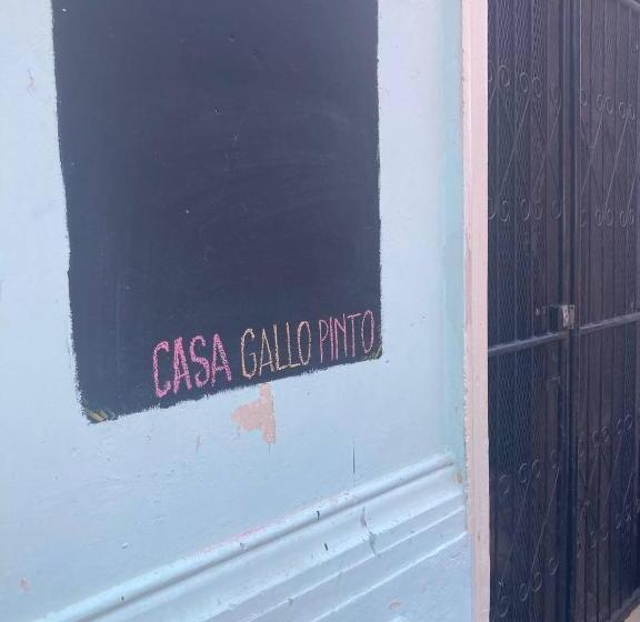 اتاق استاندارد, Casa Gallo Pinto