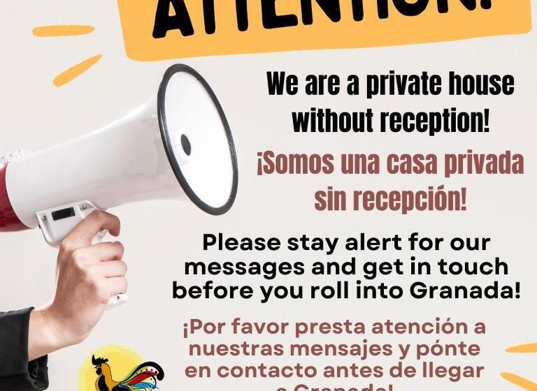 اتاق اکونومی, Casa Gallo Pinto