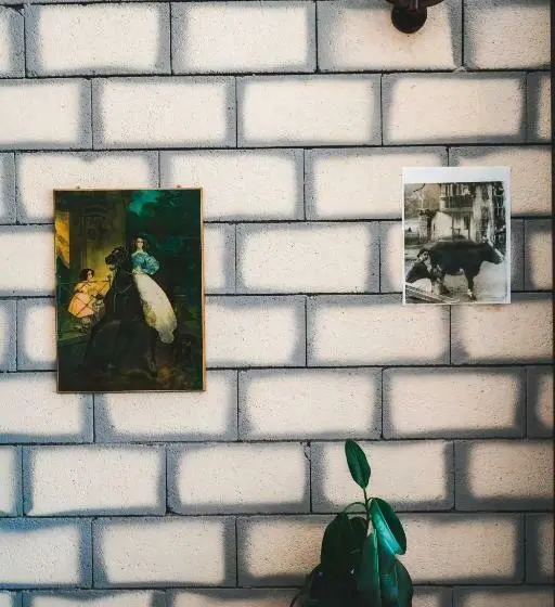 اتاق استاندارد سه نفره, Fiten House