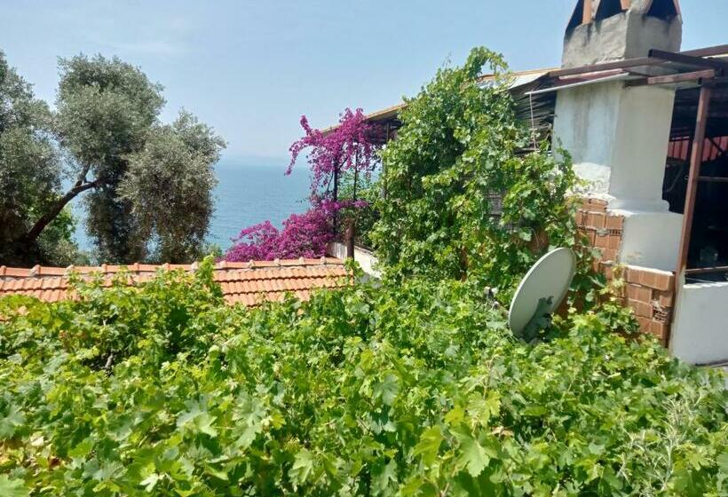 带1个卧室的带海景的公寓, Ayşen Ablanın Yeri