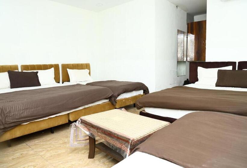 سوییت خانوادگی, Kiwi Inn