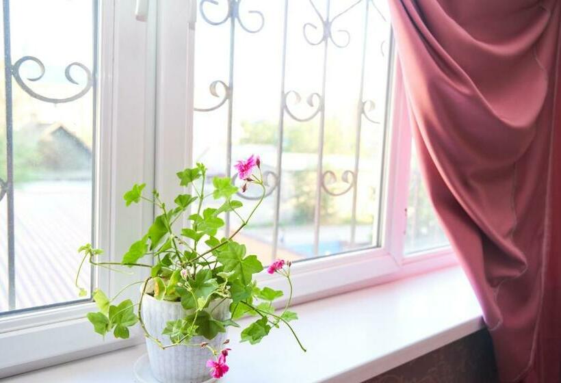 اتاق سوپریور خانوادگی, Nomad Hostel