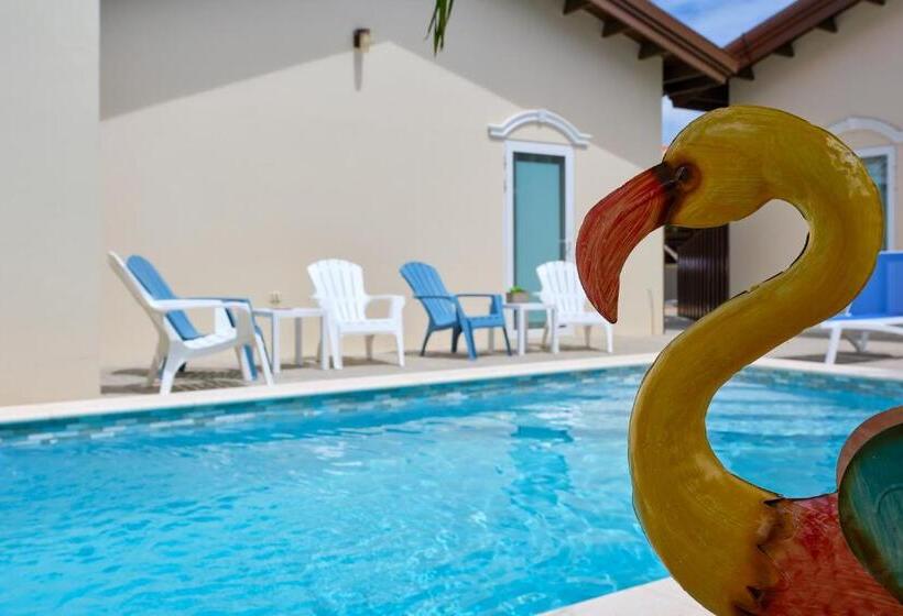 شقة غرفة واحدة مطلة على حمام السباحة, Little Sea Aruba