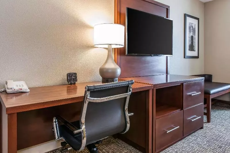 キングサイズベッドのスタンダードルーム, Comfort Suites Rensselaer Near Fair Oaks