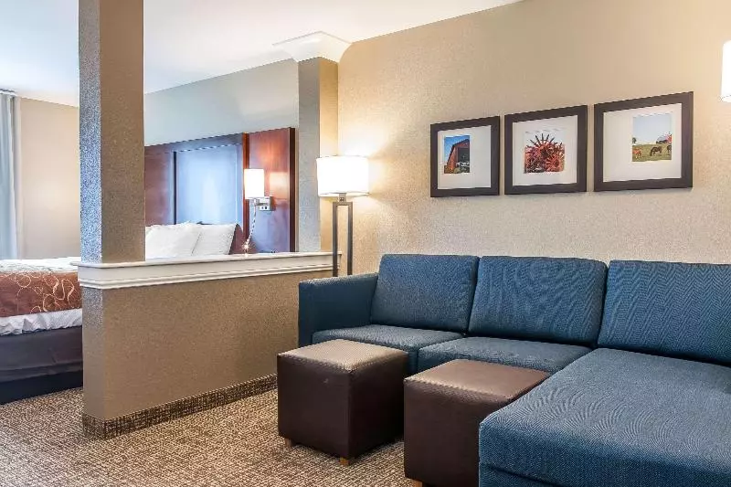 キングサイズベッドのスタンダードルーム, Comfort Suites Rensselaer Near Fair Oaks