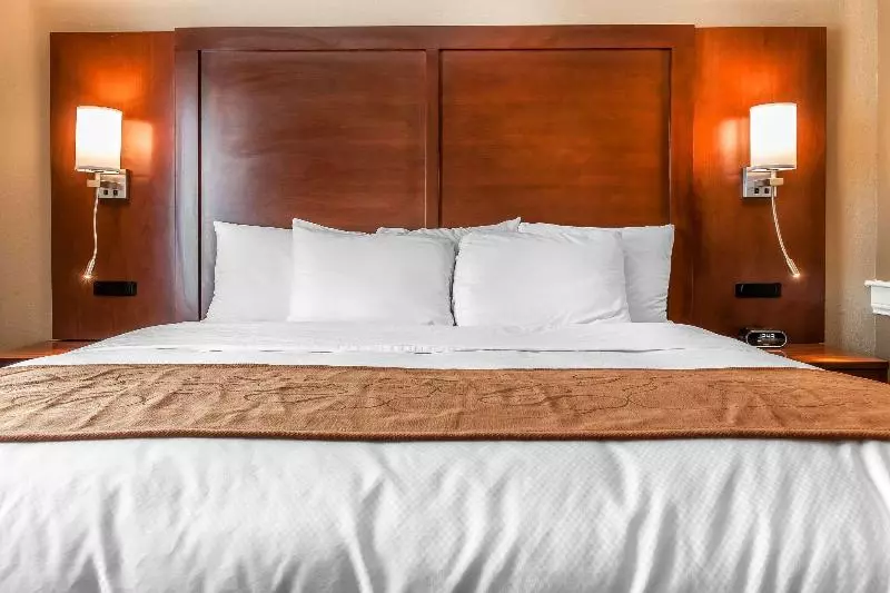 キングサイズベッドのスタンダードルーム, Comfort Suites Rensselaer Near Fair Oaks