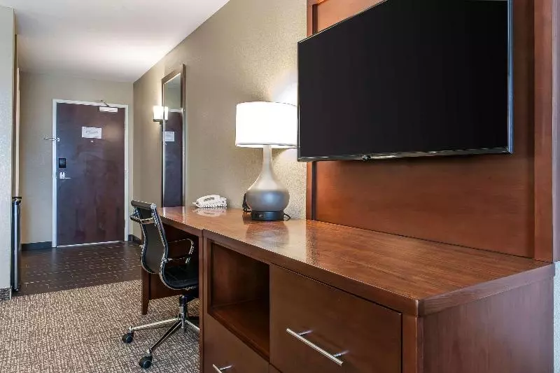 キングサイズベッドのスタンダードルーム, Comfort Suites Rensselaer Near Fair Oaks