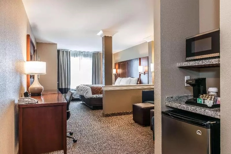 キングサイズベッドのスタンダードルーム, Comfort Suites Rensselaer Near Fair Oaks