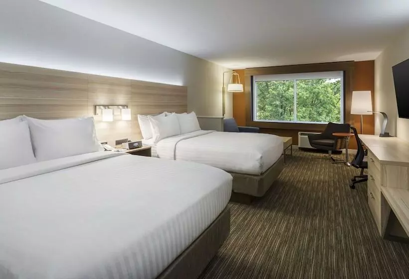 身障者適用スイートルーム, Holiday Inn Express & Suites Medina, An Ihg