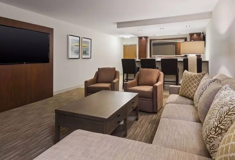 エクゼクティブスイート, Holiday Inn Express & Suites Medina, An Ihg