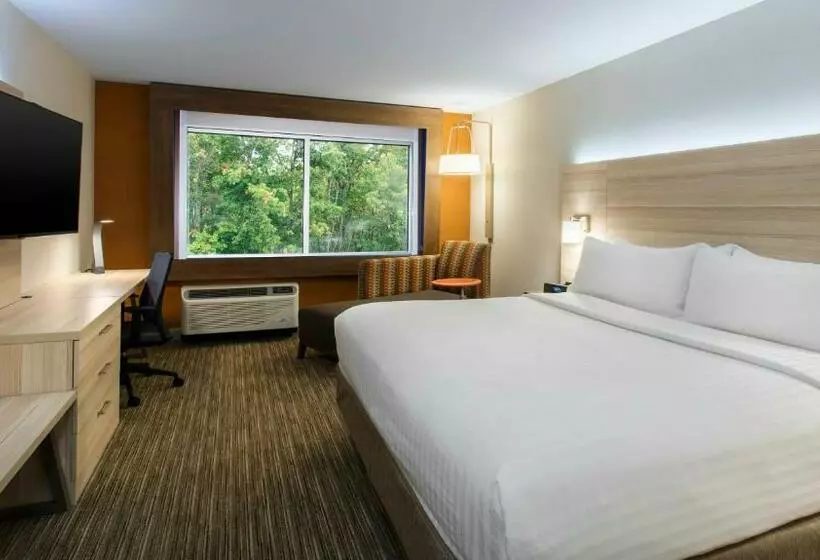 身障者適用キングサイズベッドルーム, Holiday Inn Express & Suites Medina, An Ihg