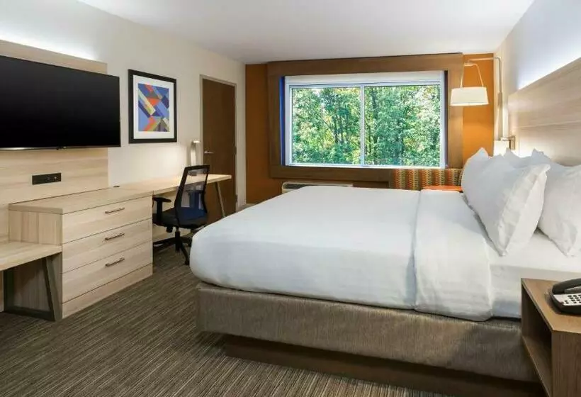 エクゼクティブスイート, Holiday Inn Express & Suites Medina, An Ihg