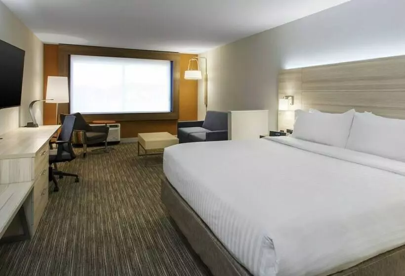 スタンダードルーム, Holiday Inn Express & Suites Medina, An Ihg