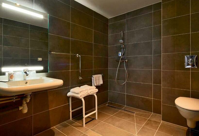 Номер Стандарт, Kyriad Troyes Centre