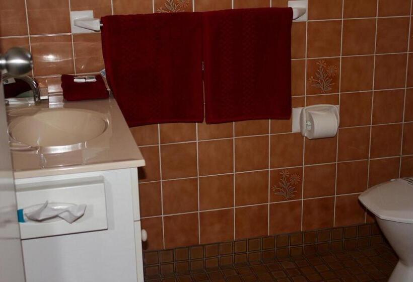 غرفة قياسية, Town And Country Motor Inn