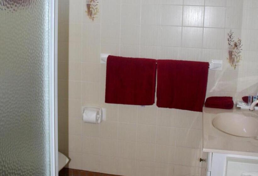 غرفة قياسية, Town And Country Motor Inn