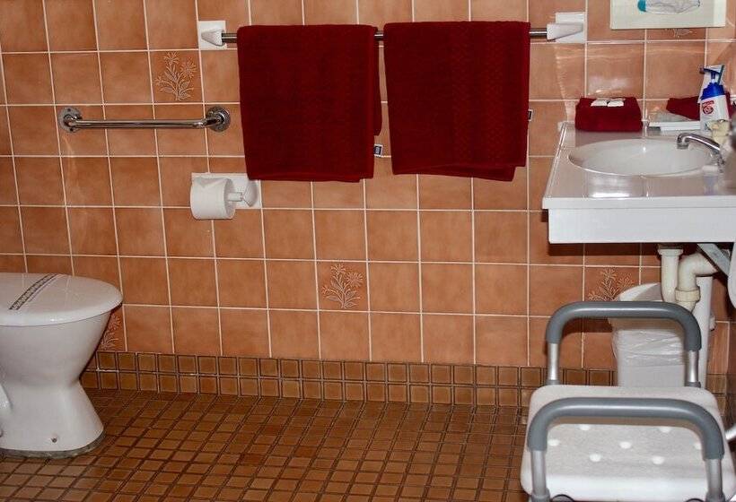 غرفة قياسية لذوى الاحتياجات الخاصة, Town And Country Motor Inn