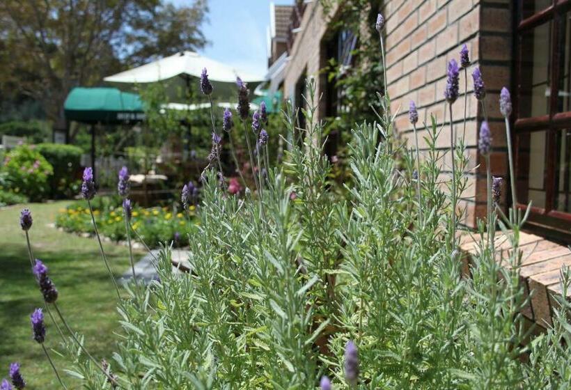 סוויטת 2 חדרי שינה, Pelican Lodge Guesthouse