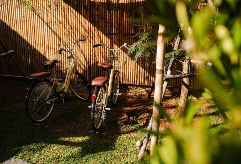 Люкс Дюплекс, Thara Dara Khaoyai