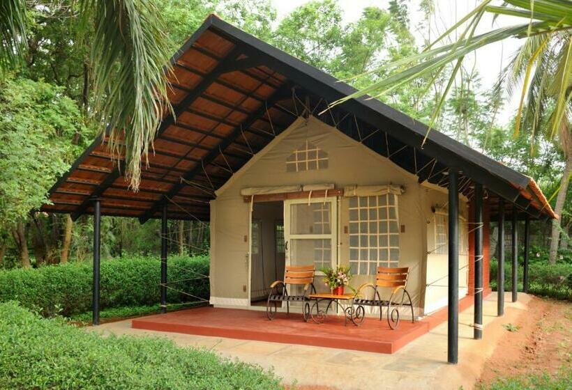 Standard Tent, Olive Farm @ Embassy International Riding School