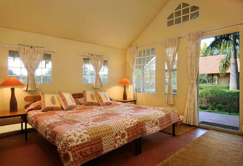 Standard Tent, Olive Farm @ Embassy International Riding School